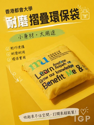 Universiti Metropolitan Hong Kong