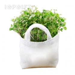 Beg kain putih kecil dengan pokok bonsai