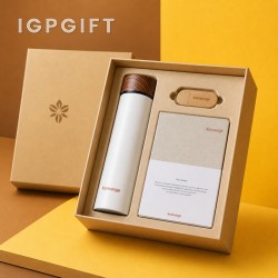 Kits Hadiah Permulaan Kreatif