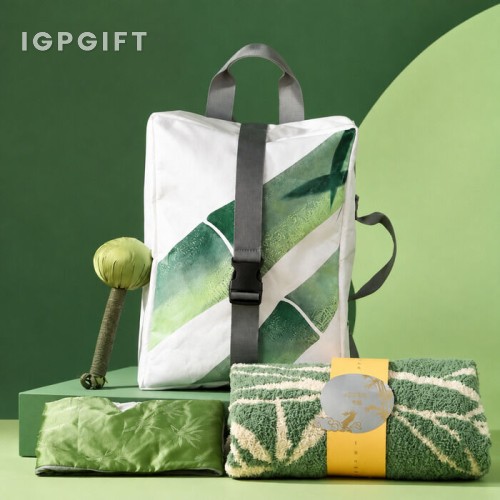 Duit Bambu Angin Kit Bulan Pertengahan Kreatif DuPont Beg Hadiah Kesihatan