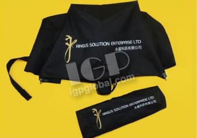 IGP(Innovative Gift & Premium) | Ringus Solution Enterprise Limited