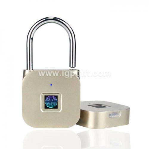 Smart USB fingerprint lock