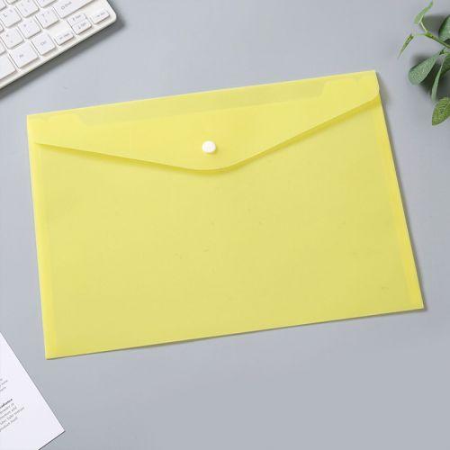 Simple Color File Bag