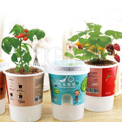 Coffee Cup Potted